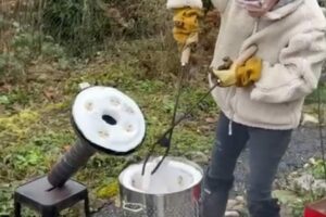 Raku process